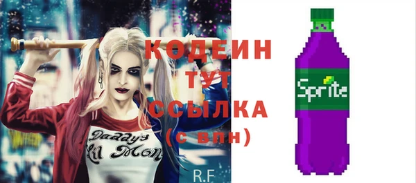 соль ск Верхний Тагил