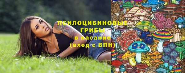 ПСИЛОЦИБИНОВЫЕ ГРИБЫ Володарск