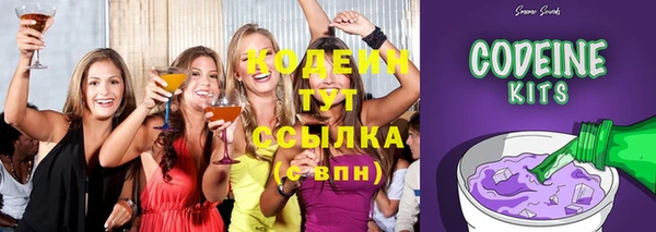 соль ск Верхний Тагил