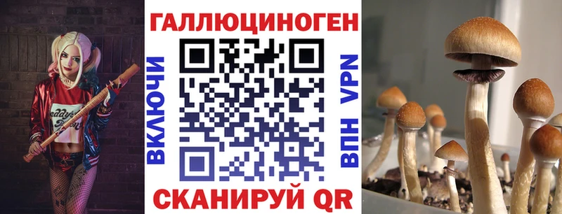 Псилоцибиновые грибы GOLDEN TEACHER  сколько стоит  Серпухов 